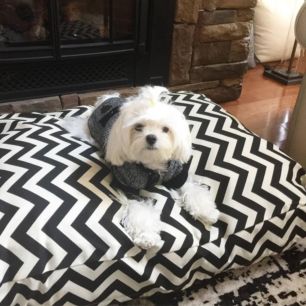 Black Extra Large Rectangle Dog Bed U668