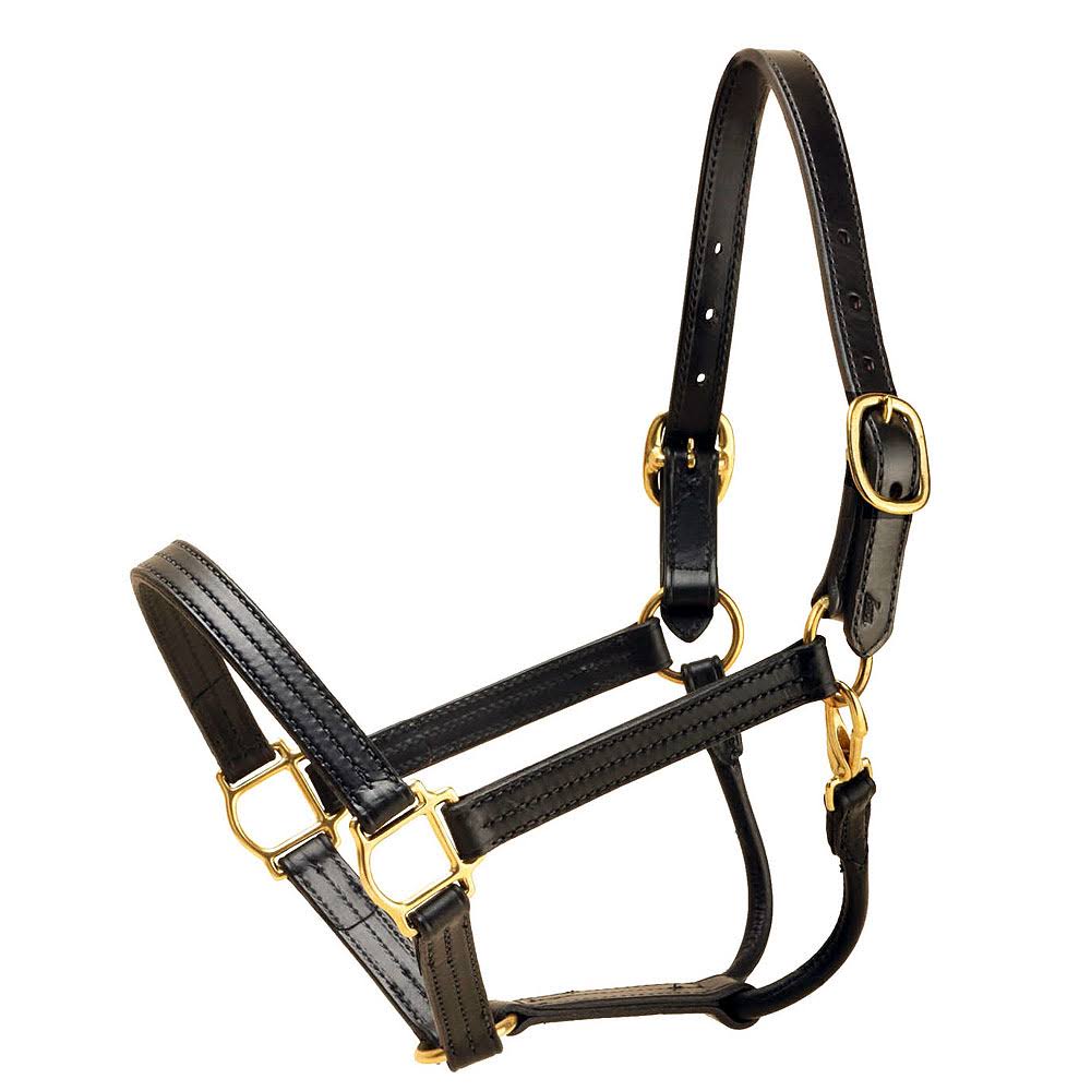 Leather Halter X7534