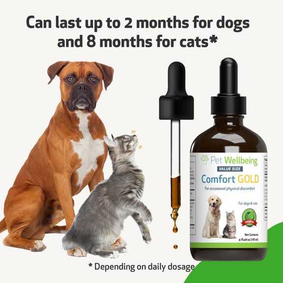 Comfort Gold for Cats V19862