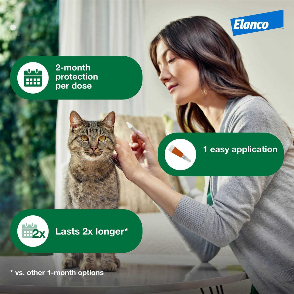 Cat Flea Prevention & Treatment H544