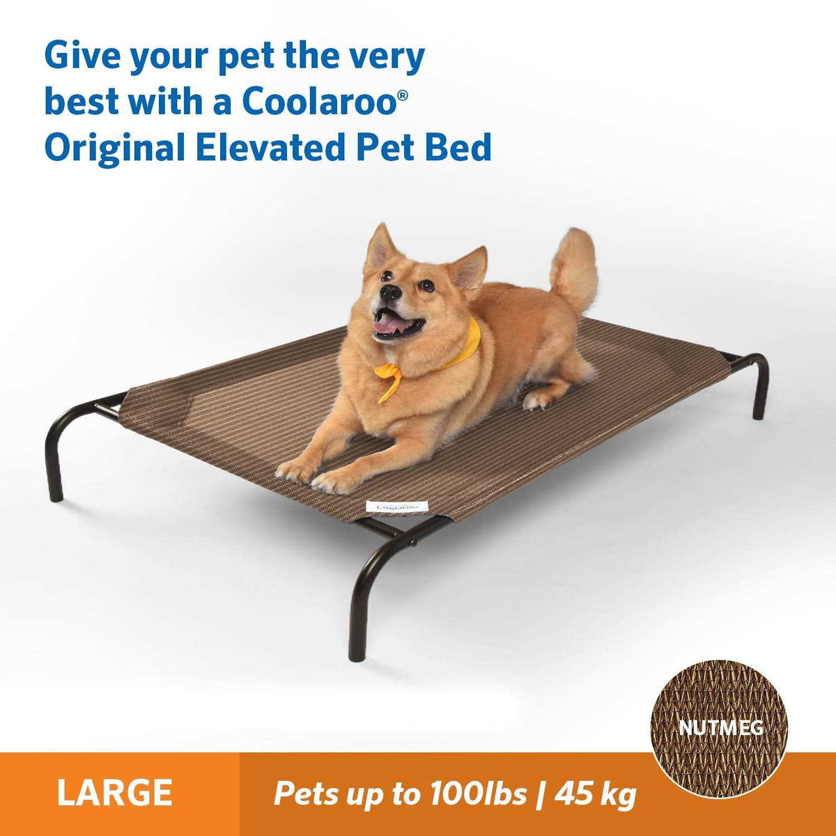 Elevated Pet Bed Z23984
