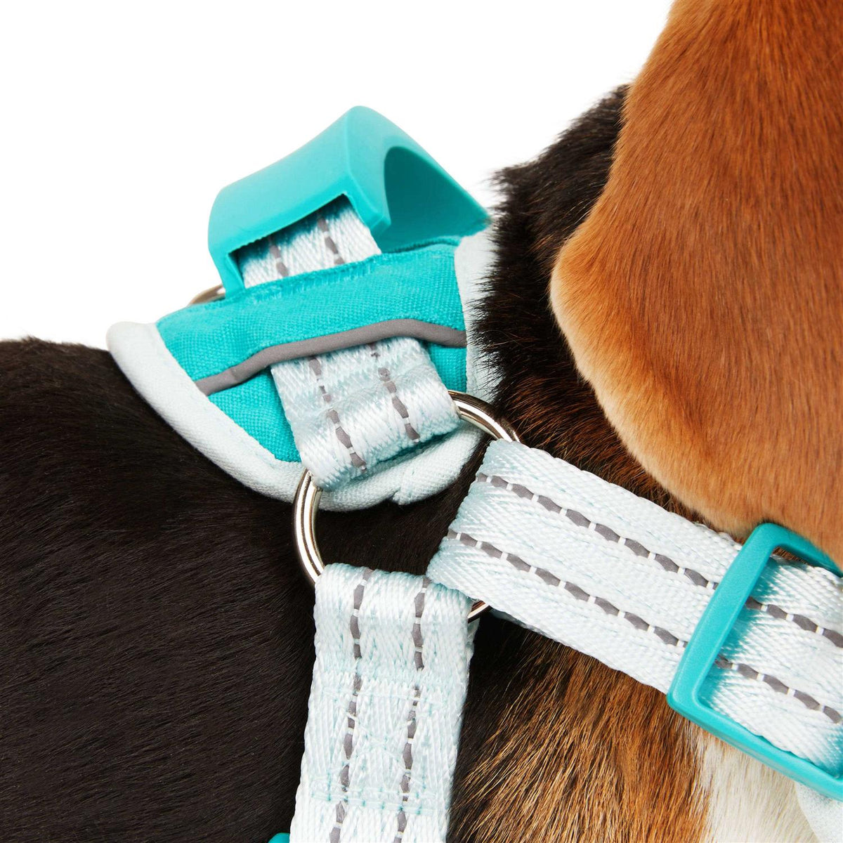Easy On Training Dog Harness X939716