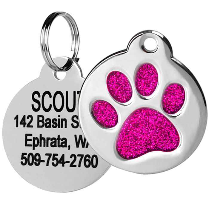 Stainless Steel Personalized Dog & Cat ID Tag I79754