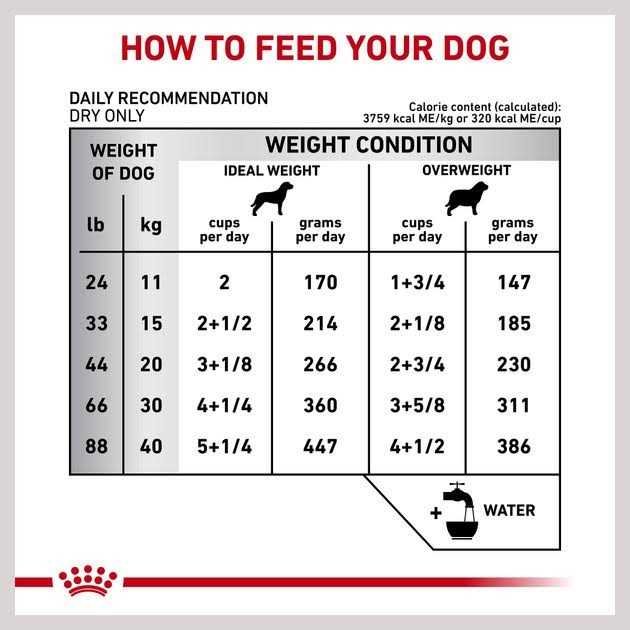 Dry Dog Food J23911