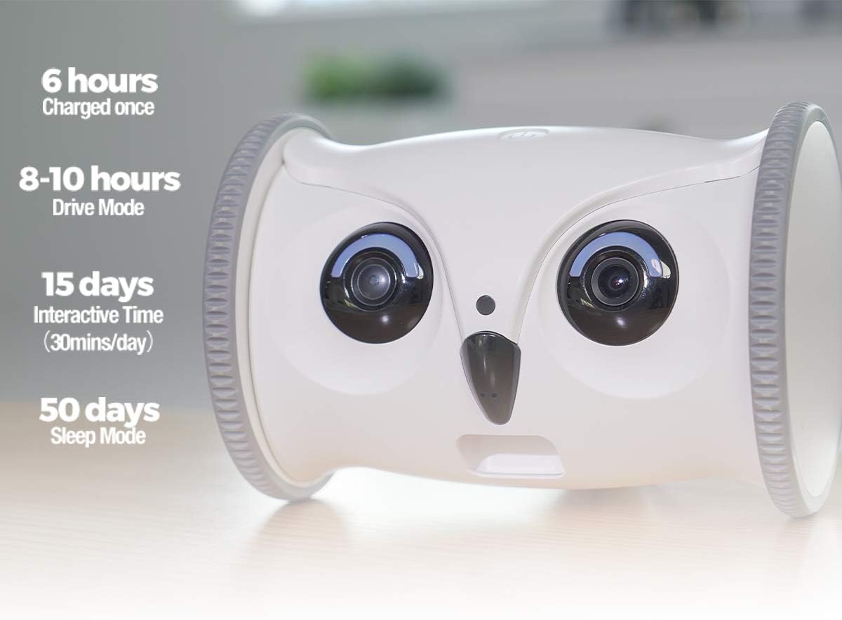 Owl Robot Pet Camera with Treat Dispenser V14235