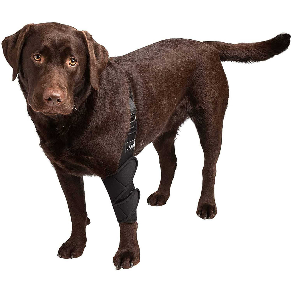 Dog Shoulder Elbow Brace Leg Wrap M523