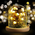 3.9 Inch Mushroom Glass LED Night Light O409840