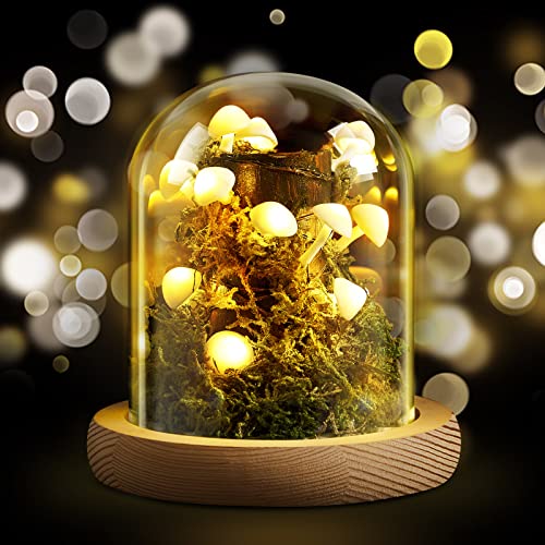 3.9 Inch Mushroom Glass LED Night Light O409840
