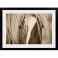 Black Frame Photographic Print Q53926