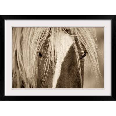 Black Frame Photographic Print Q53926