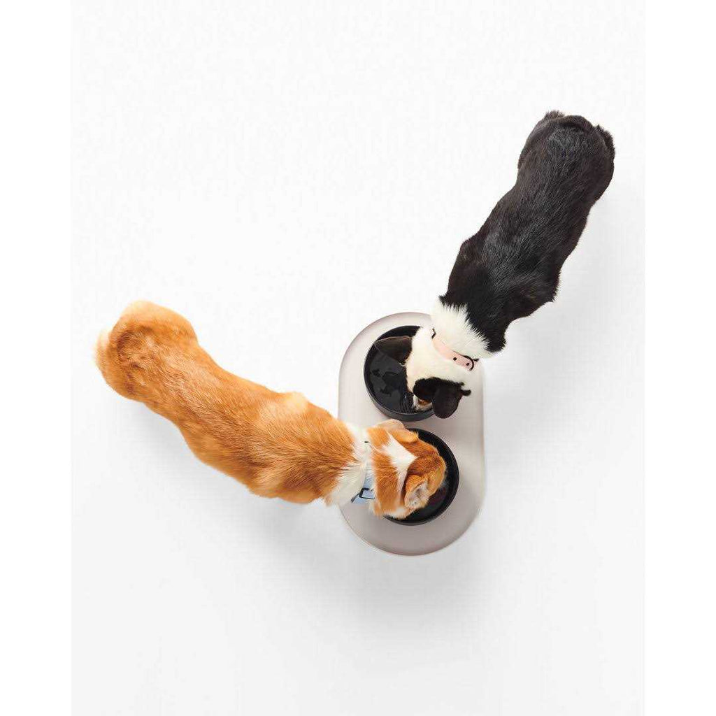 Dog Bowl Mat R224059